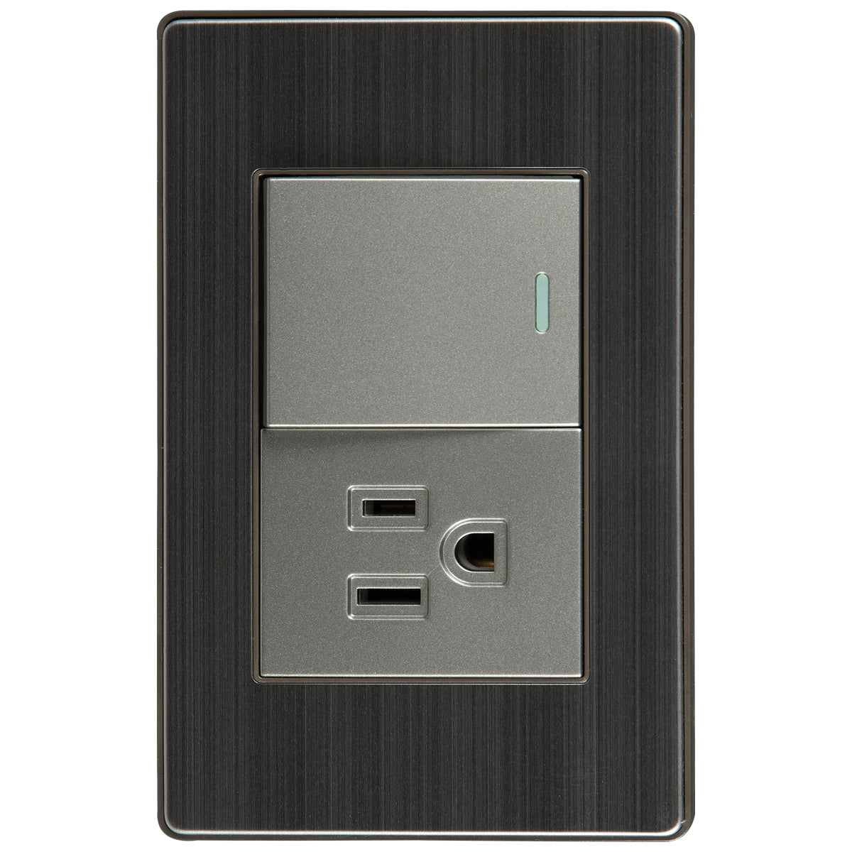 Tekno Switch with 2-Way Stainless Steel Outlet 15A 125V