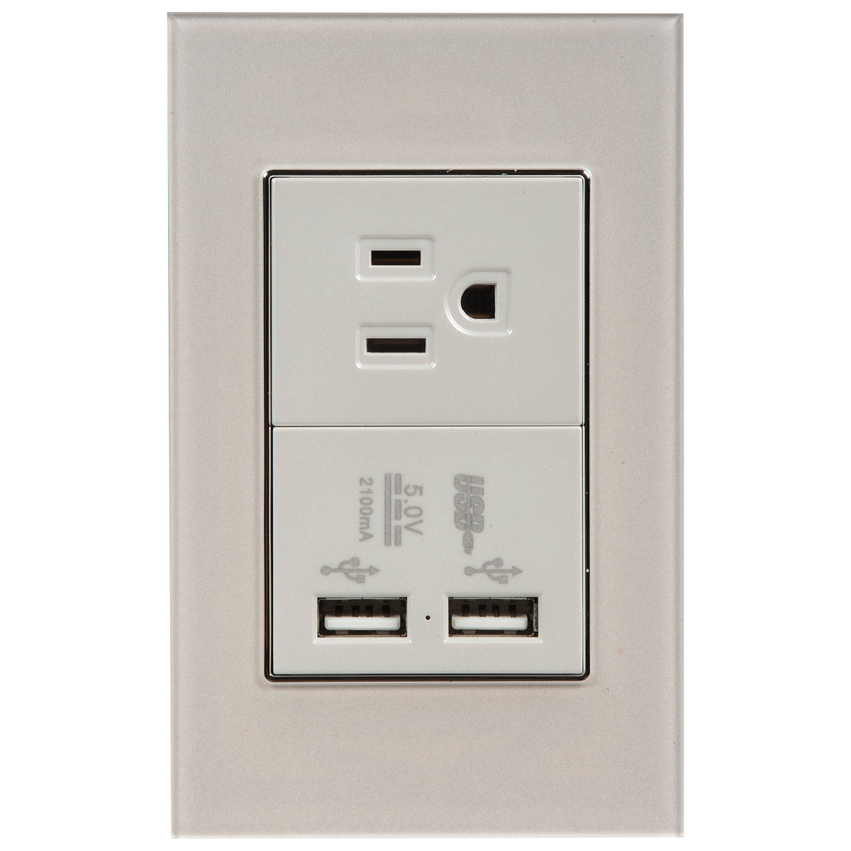 Tekno Polarized Power Outlet with 2 Ivory USB Ports